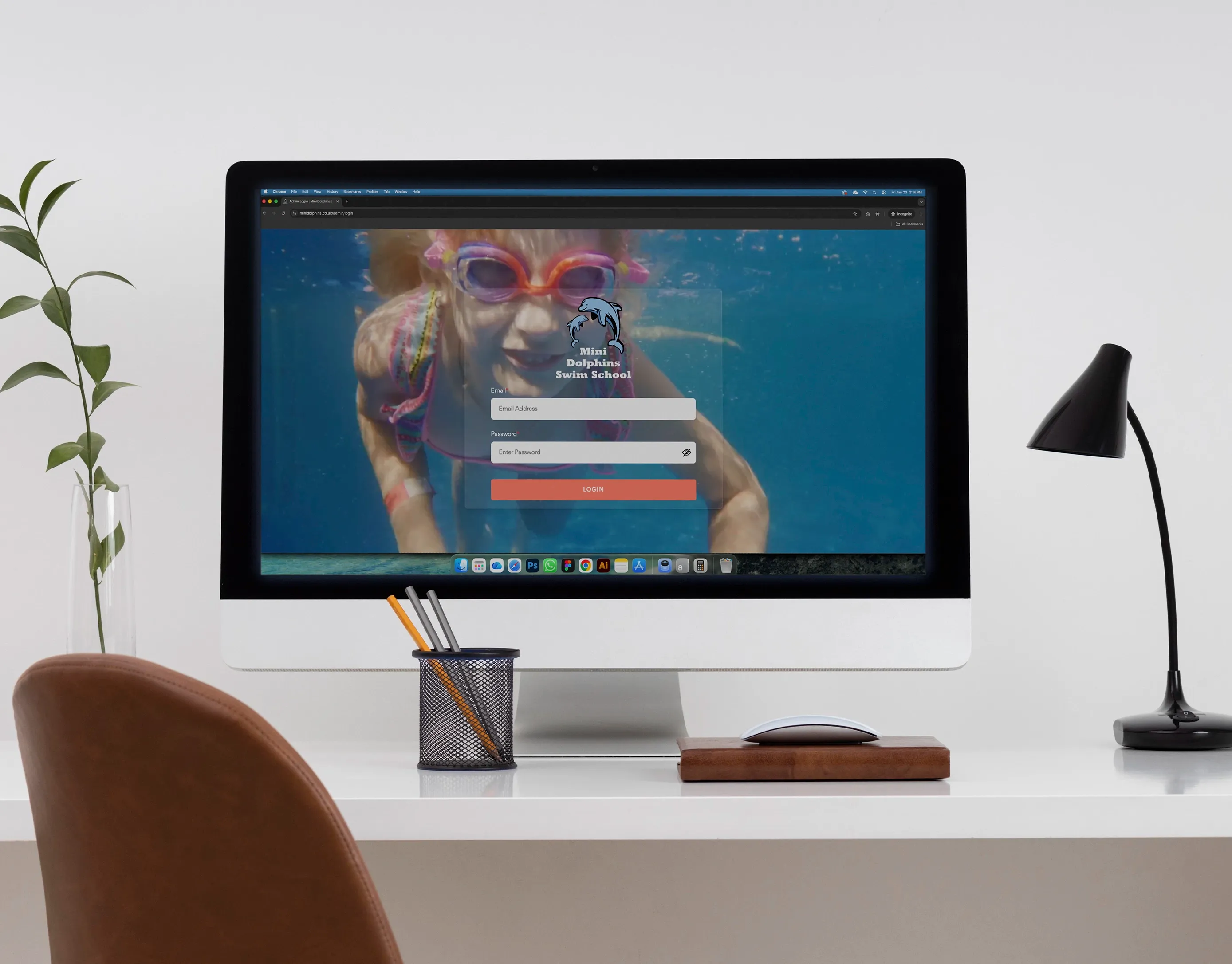 Mini Dolphins Software